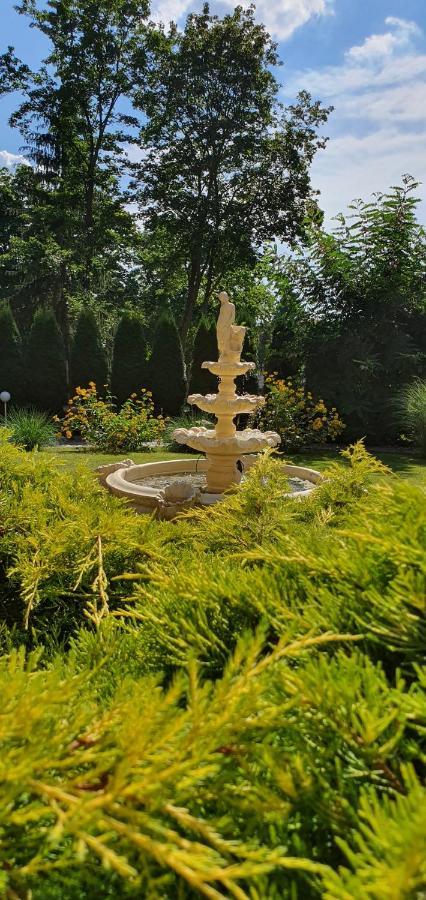 Villa Carmen Kudowa-Zdrój Exteriér fotografie