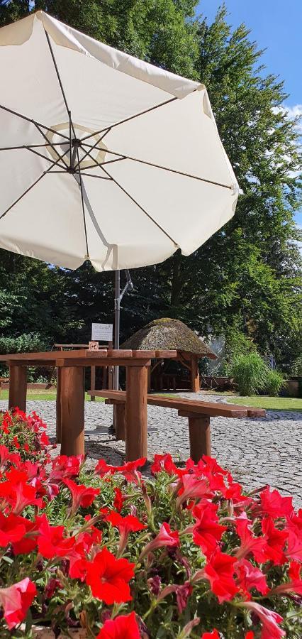 Villa Carmen Kudowa-Zdrój Exteriér fotografie